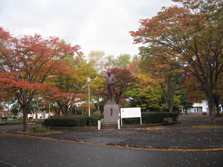 2010.11.2 水沢公園紅葉情報 002.jpg