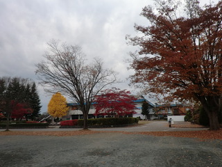 CIMG0022.JPG