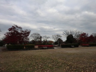 CIMG0023.JPG