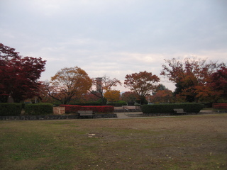kouyou 002.jpg