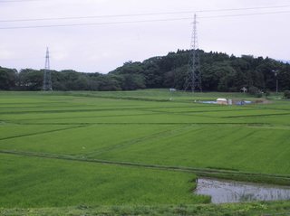 10a.JPG