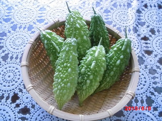 20180808.JPG