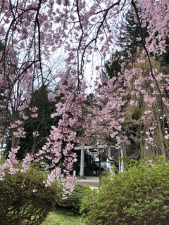 20250413��������� (10).jpg