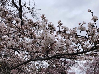 20250413��������� (1).jpg