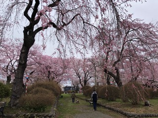 20250413��������� (2).jpg