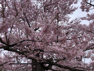 20250413��������� (4).jpg