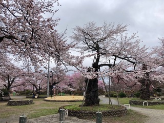 20250413��������� (7).jpg