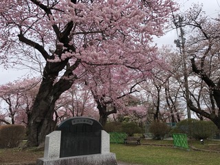 20250413��������� (8).jpg