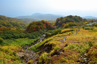 DSC_0060.jpg