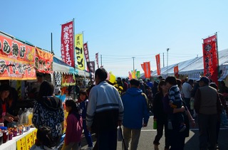 DSC_0533.jpg
