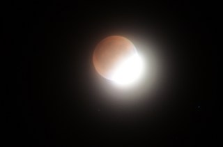 DSC_0977.JPG