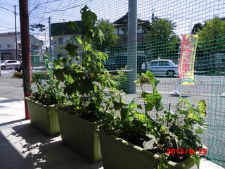 S[20150629-2.JPG