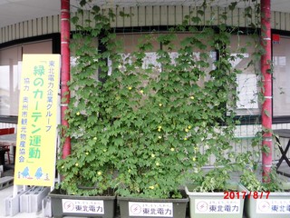 S[20170807.JPG