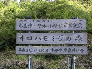 Xѐ{eBA.JPG