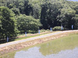 cڃA[g20150607-8.JPG