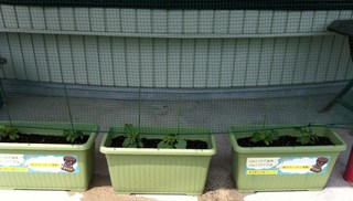 ΂̃J[e20150529-4.JPG