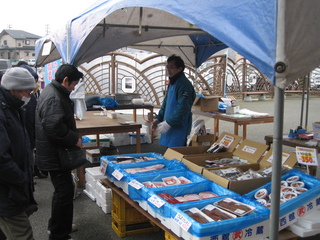 IMG_5855.JPG