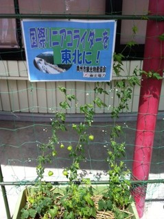 fusen20130803.JPG