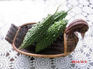 goya20140805.JPG